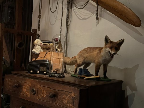 Muzeum Kroměřížska: Poklady staré půdy