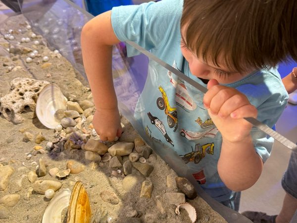 Muzeum Kroměřížska: Macourek králem fantazie